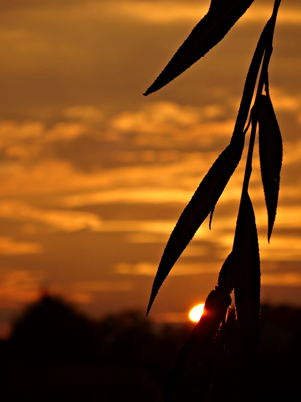 evening sunset twilight free photo