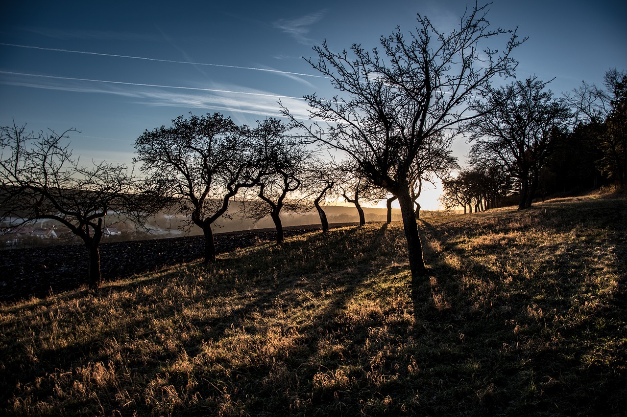 evening sunset shadow free photo