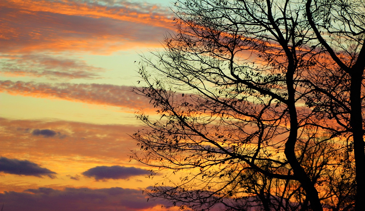 evening sky fall free photo