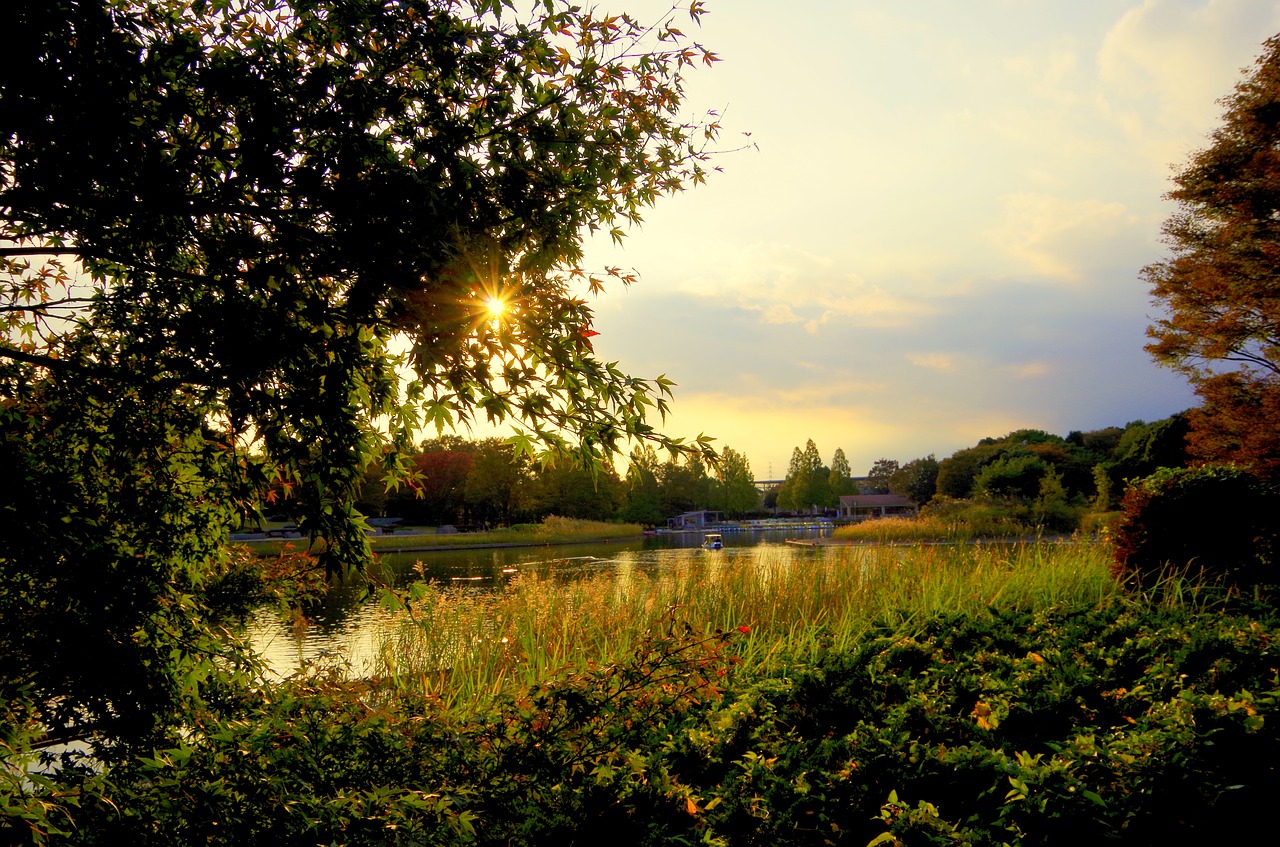 evening lake japan free photo