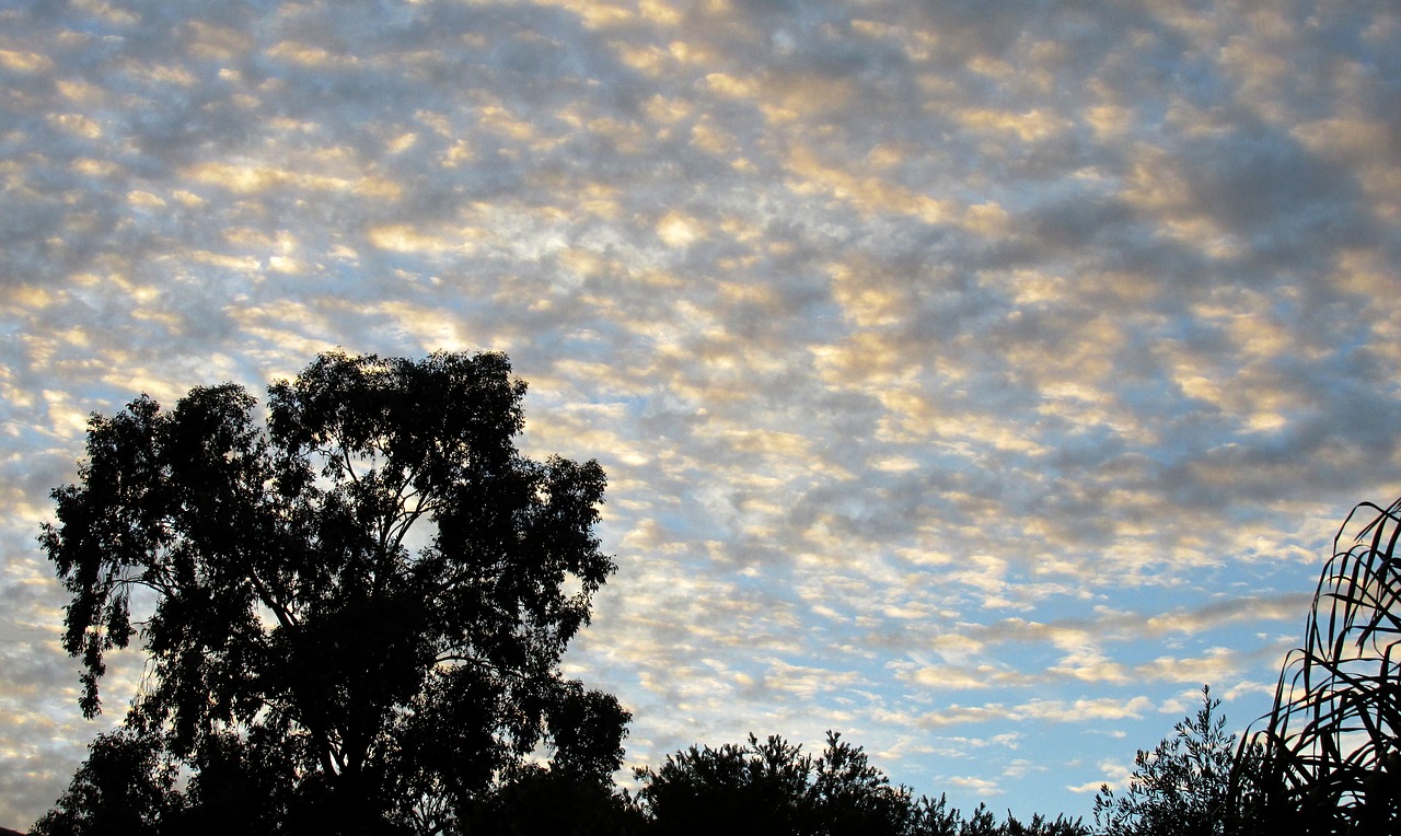 evening scattered clouds free photo