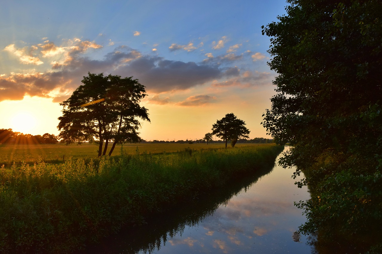 evening sunset summer free photo