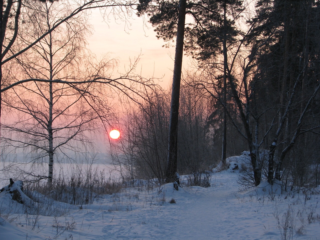 evening winter sunset free photo