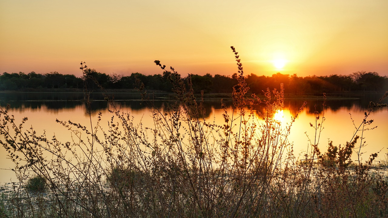 evening lake sunset free photo