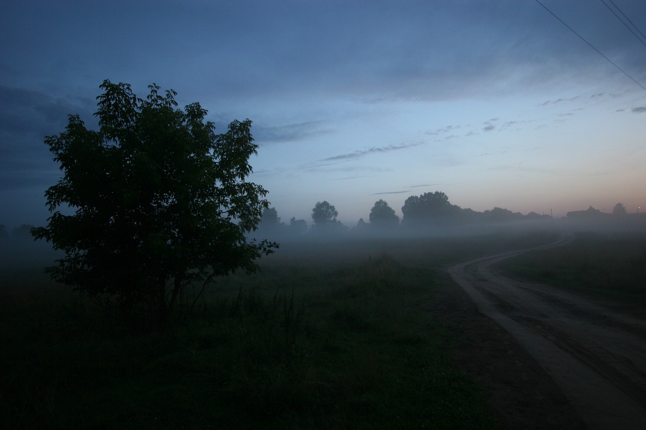 evening  road  fog free photo