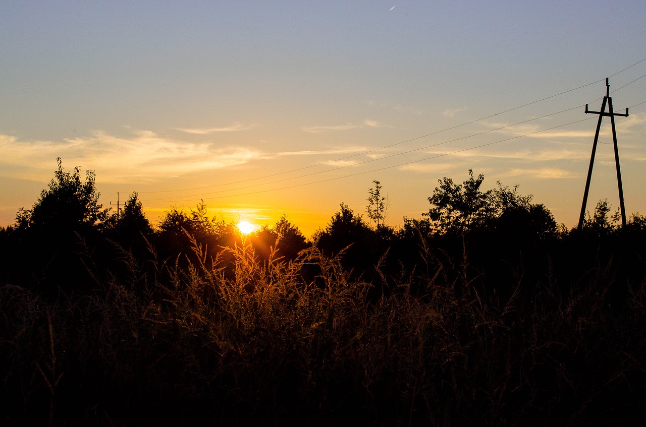 evening  the sun  sky free photo