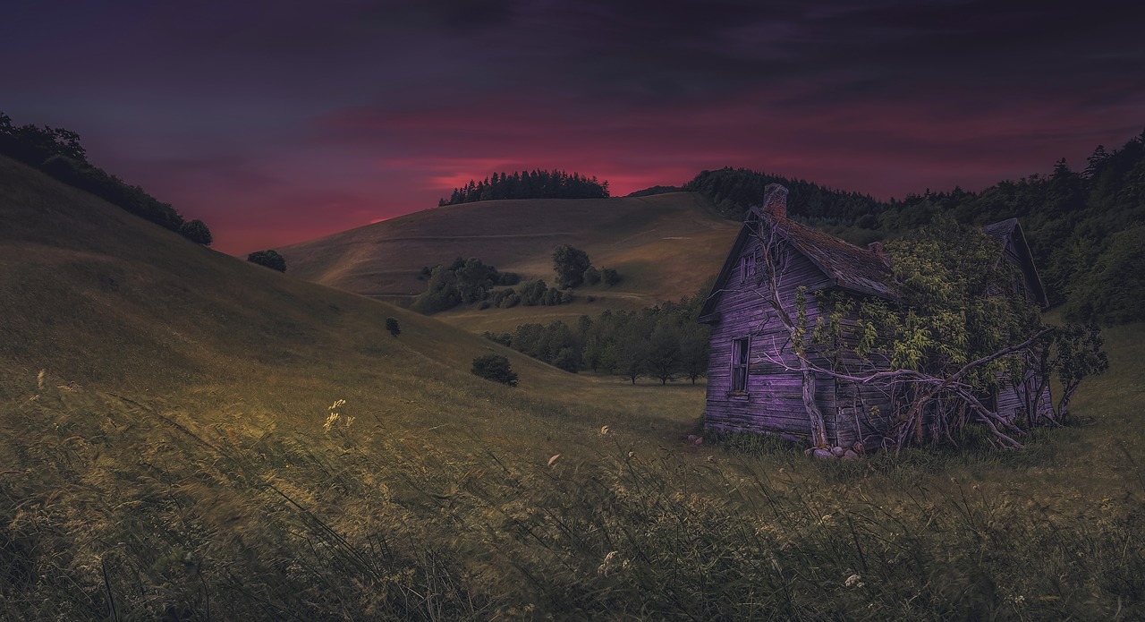 evening  hut  meadow free photo