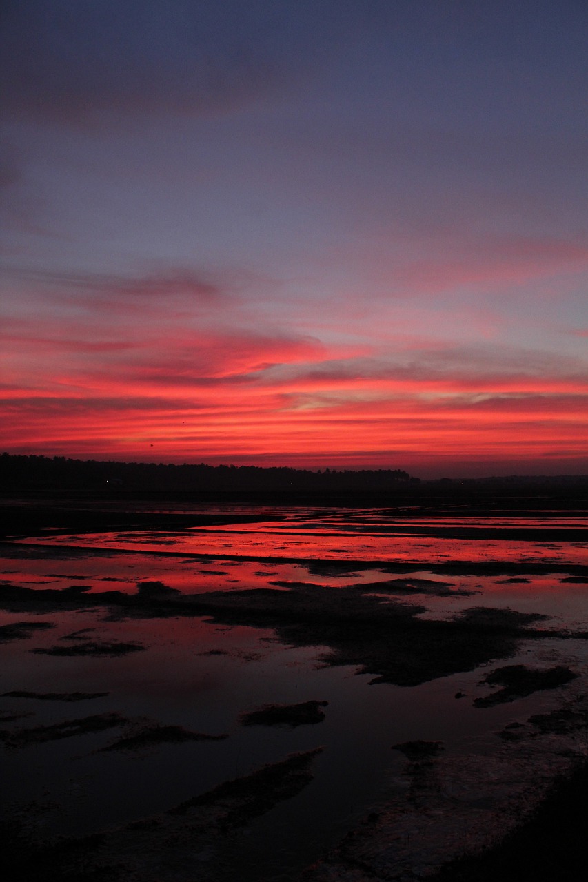 evening  water  reflection free photo