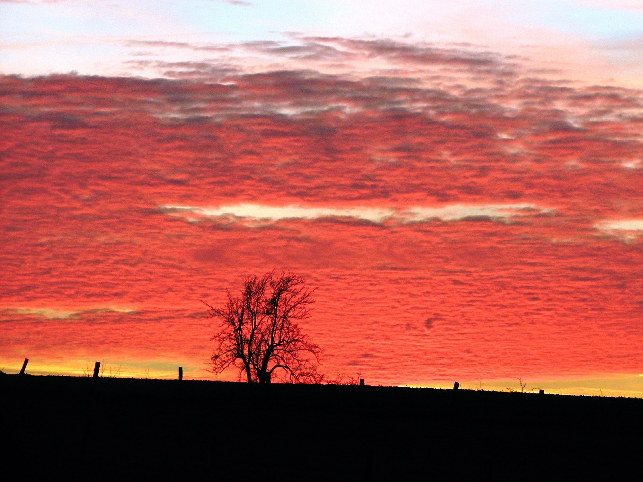 evening red sunset free photo