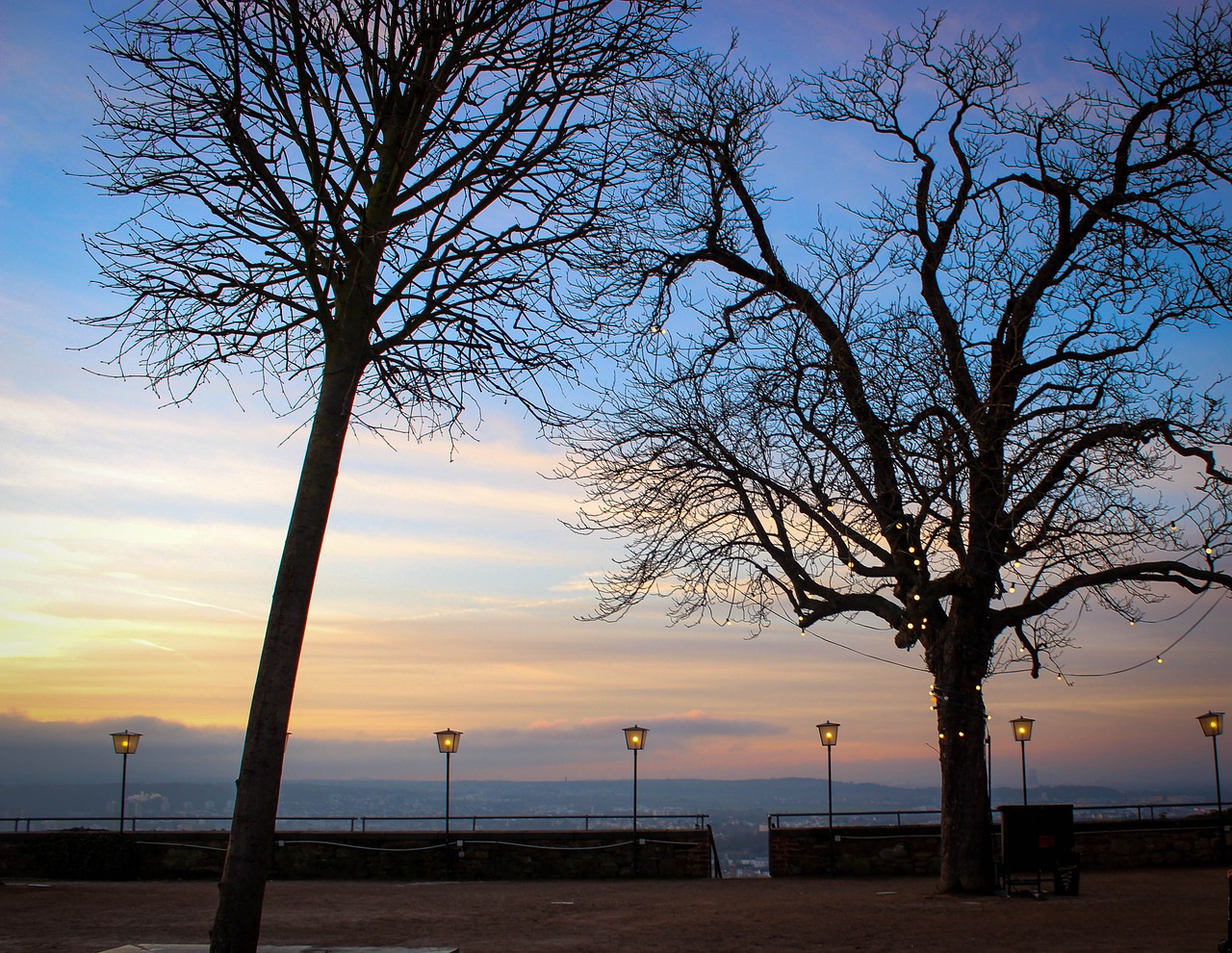 evening winter trees free photo