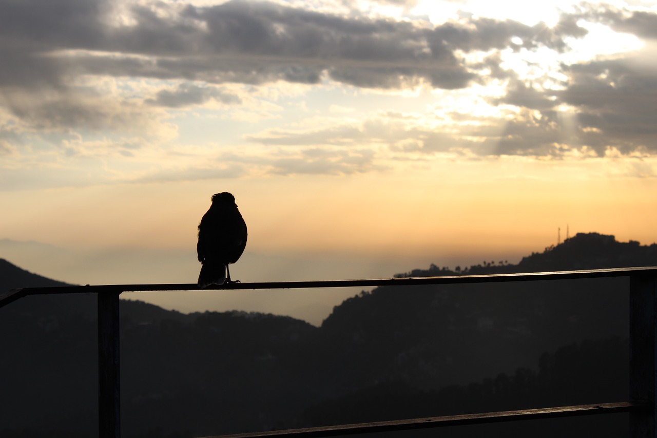 evening sky nature free photo