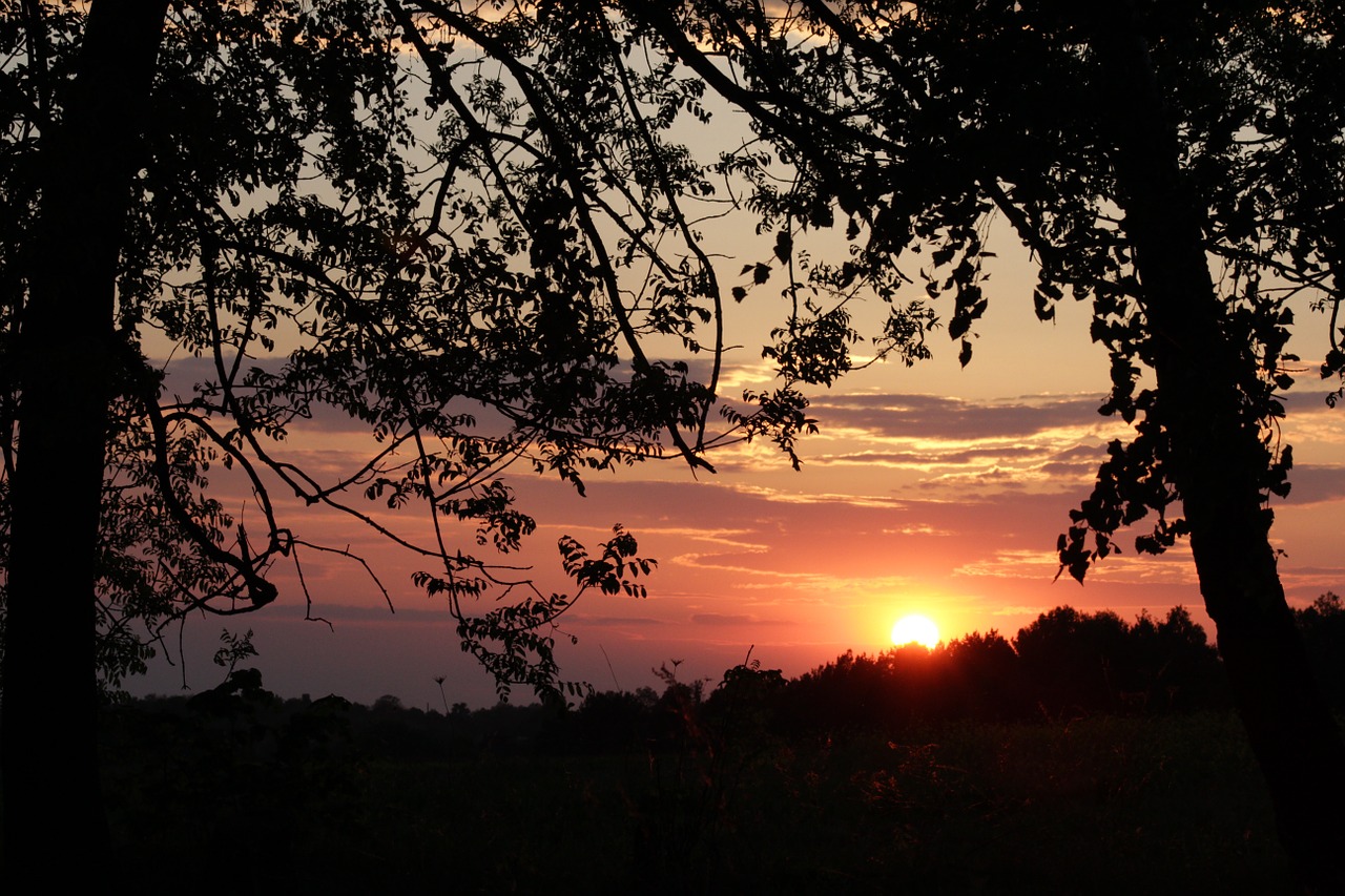 evening sunset sky free photo