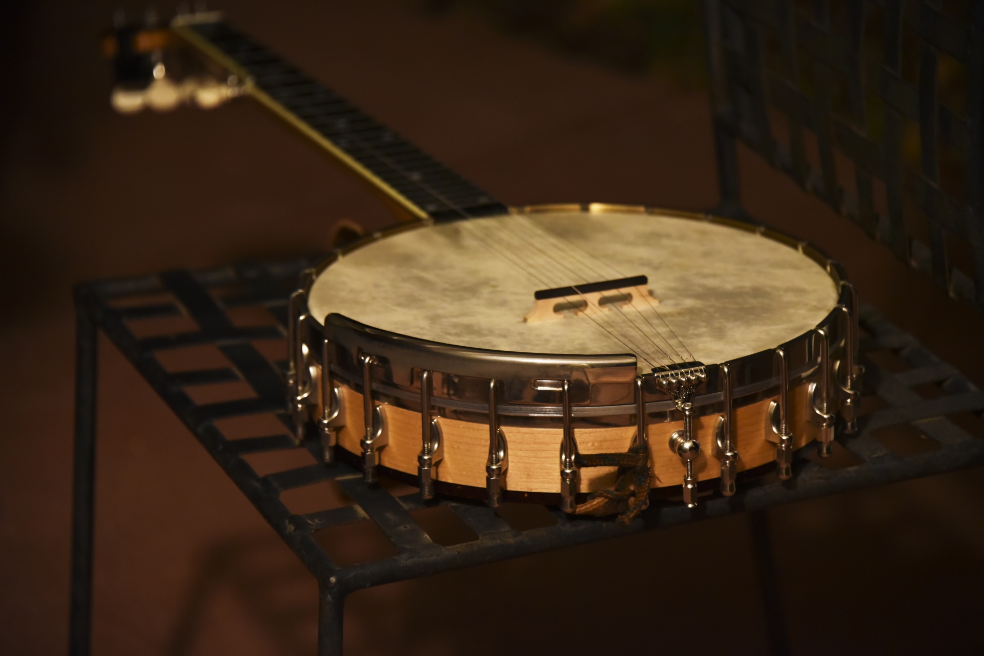 banjo instrument music free photo