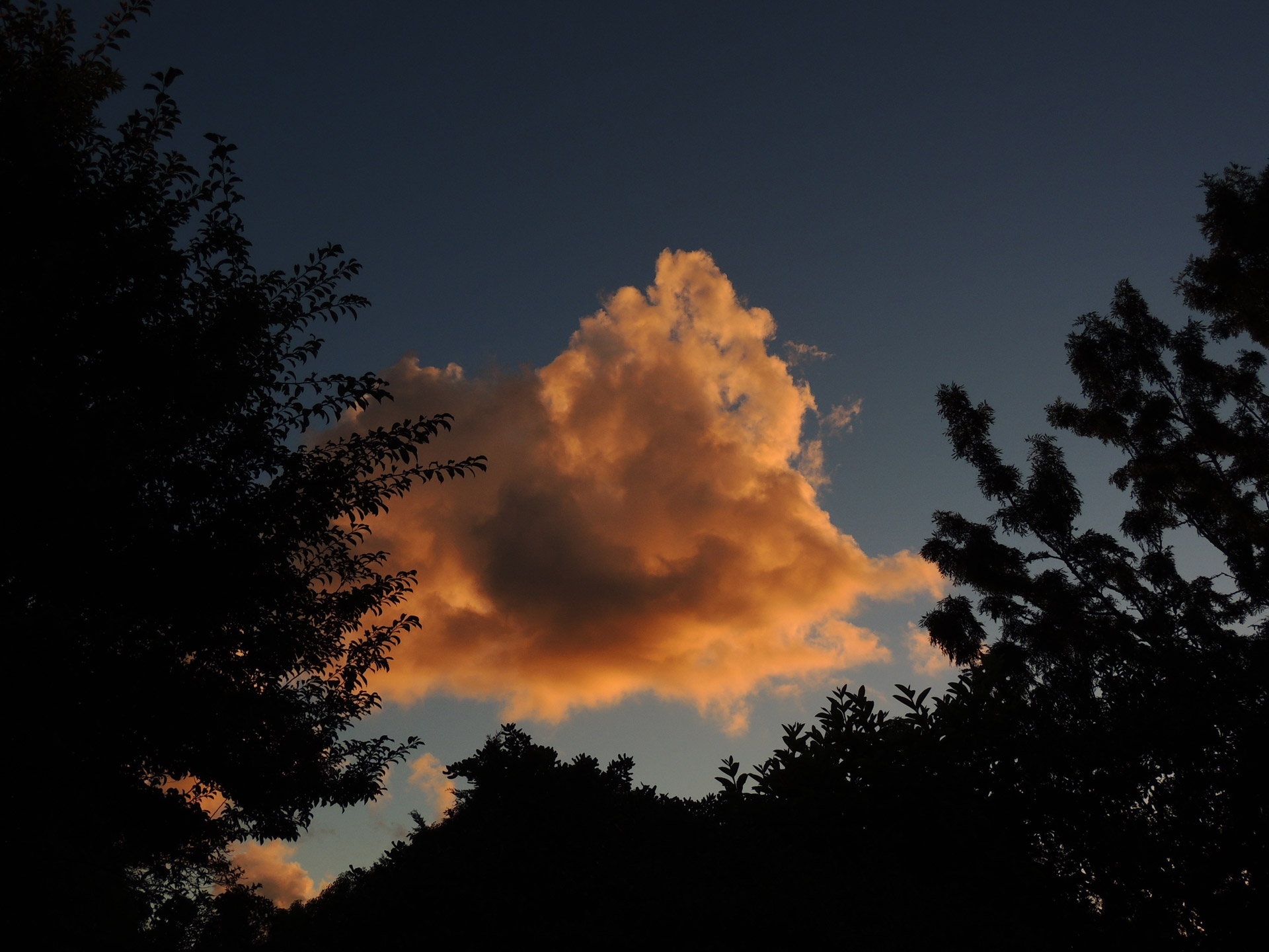 clouds evening afternoon free photo