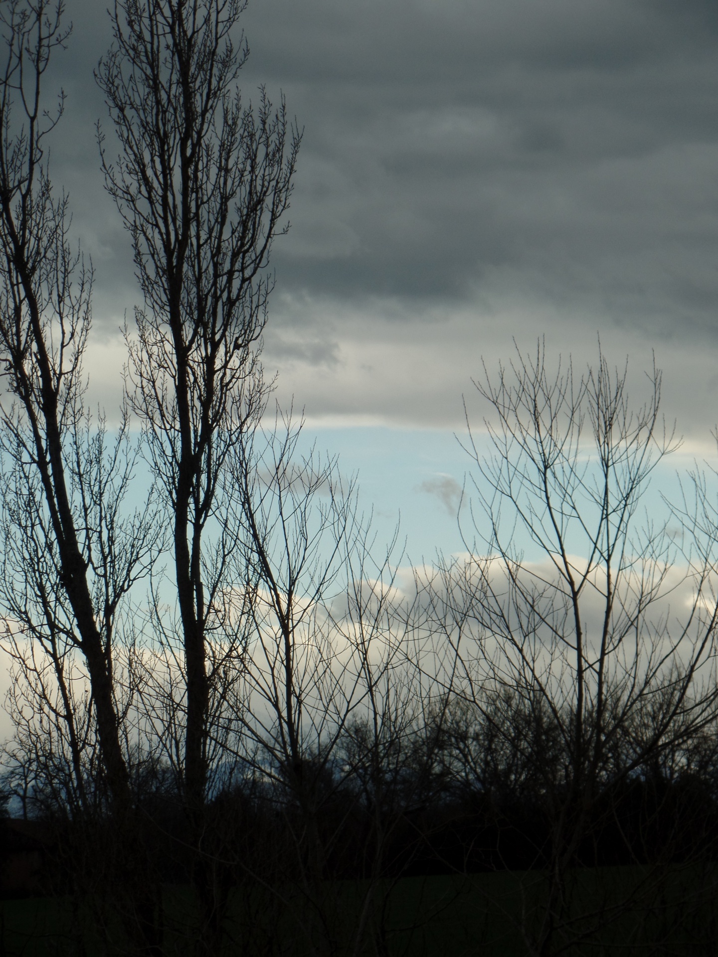 sky clouds trees free photo
