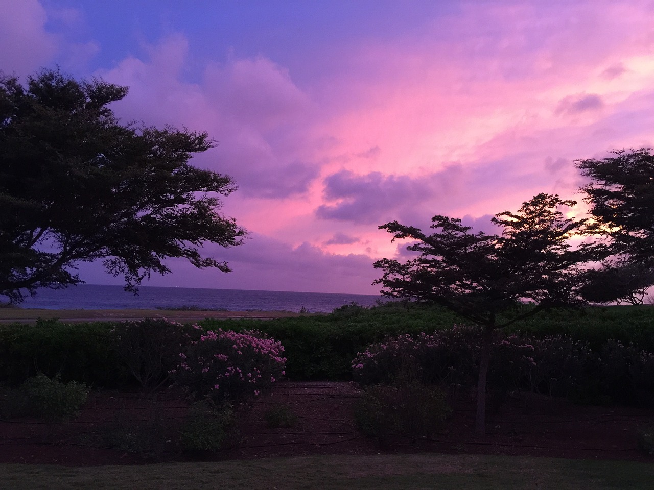 evening sky caribbean mood free photo