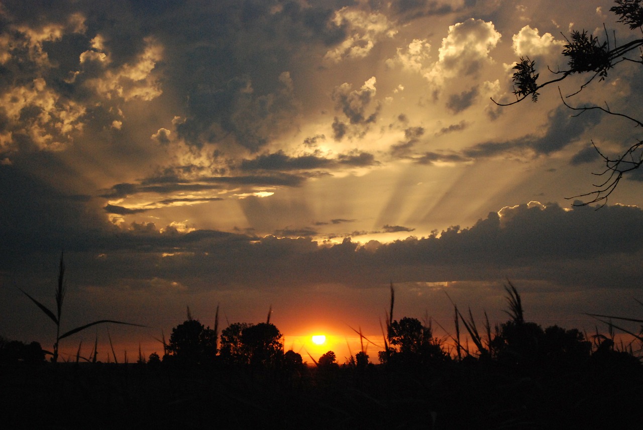 evening sky sunset nature free photo