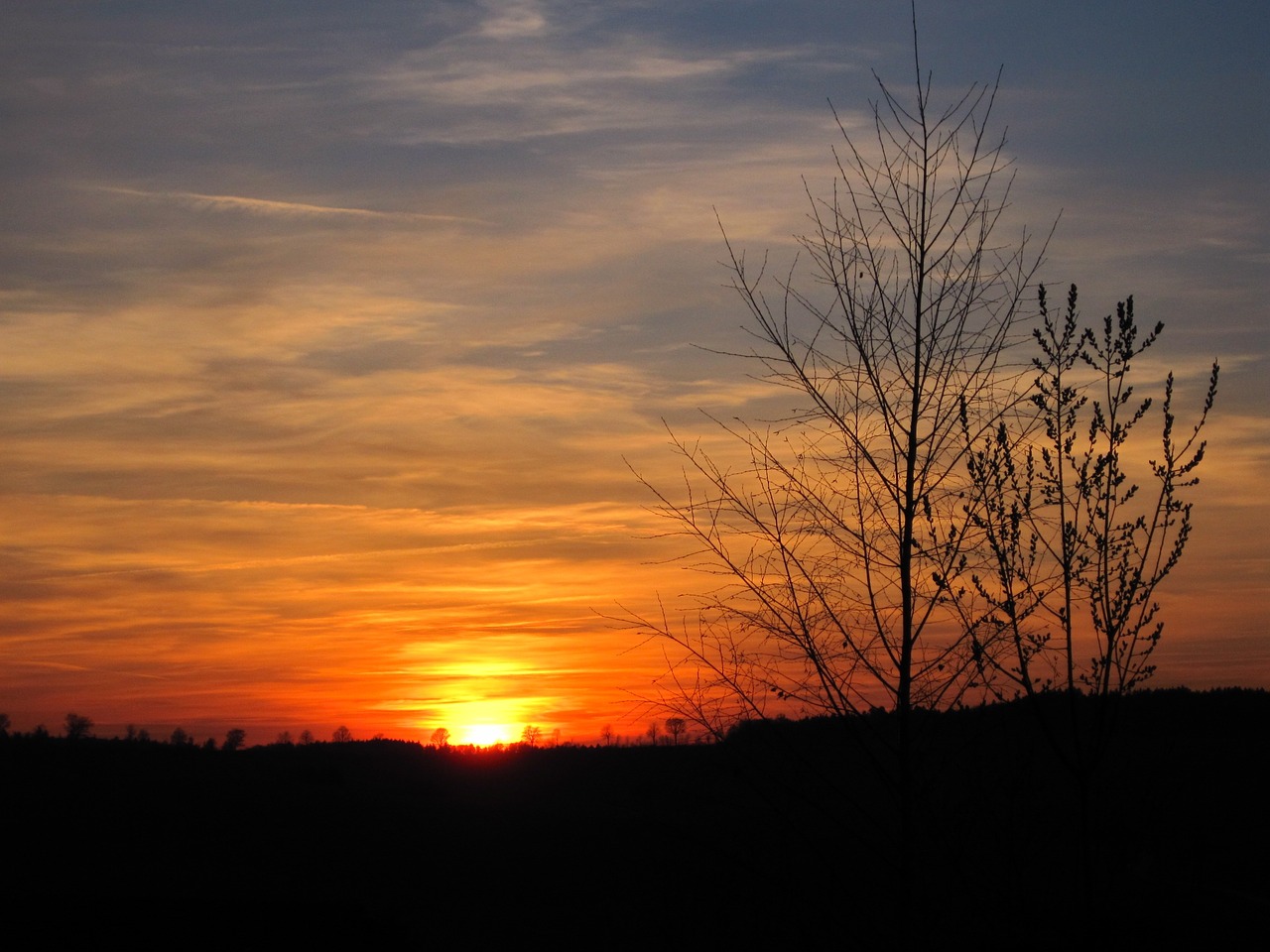 evening sky sun tree free photo