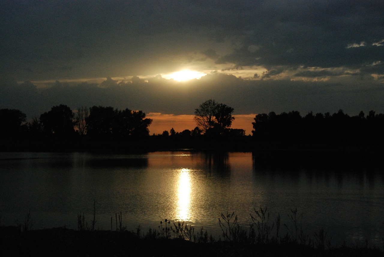 evening sun lake light free photo