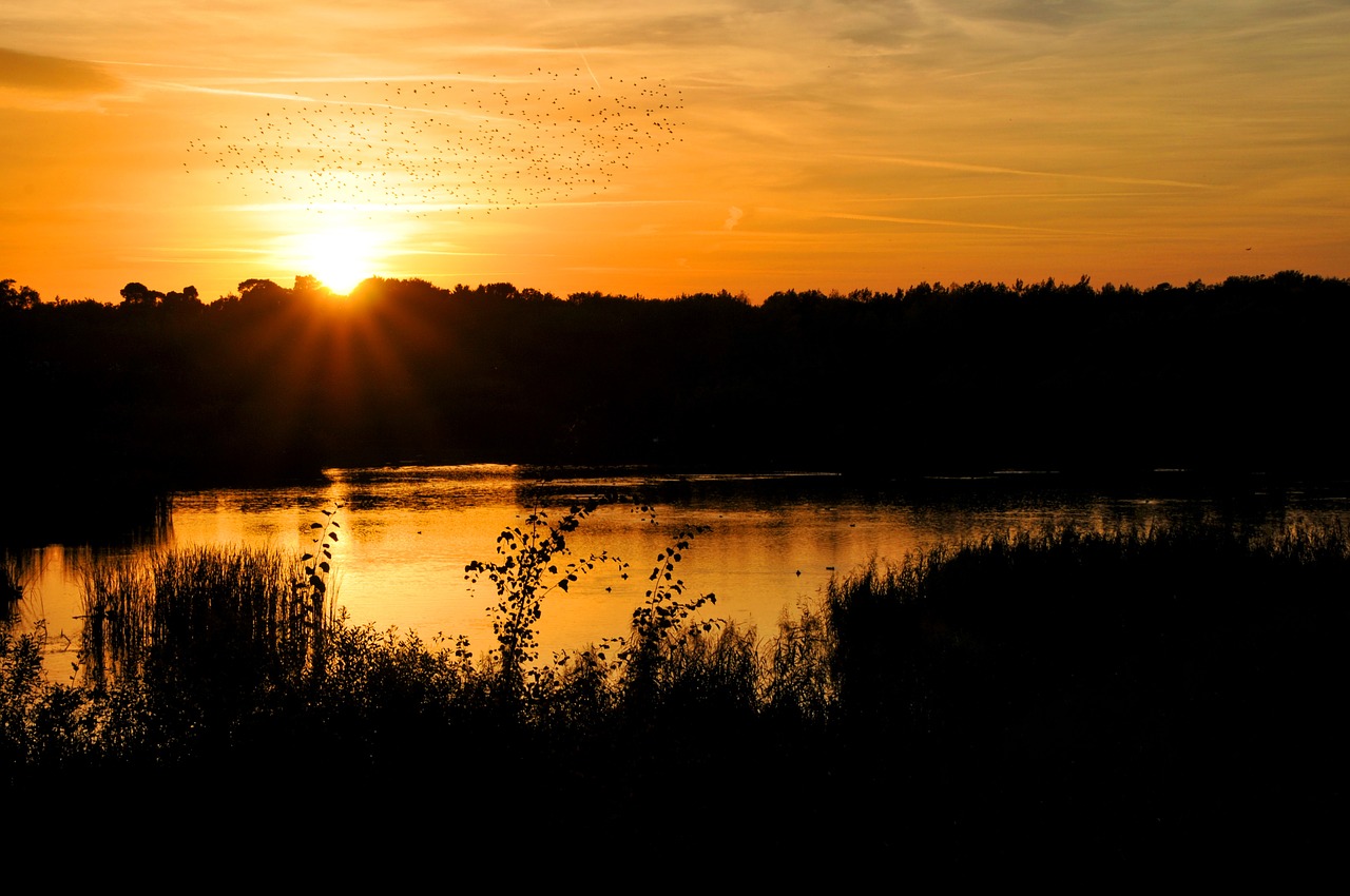 evening sun lake sunset free photo