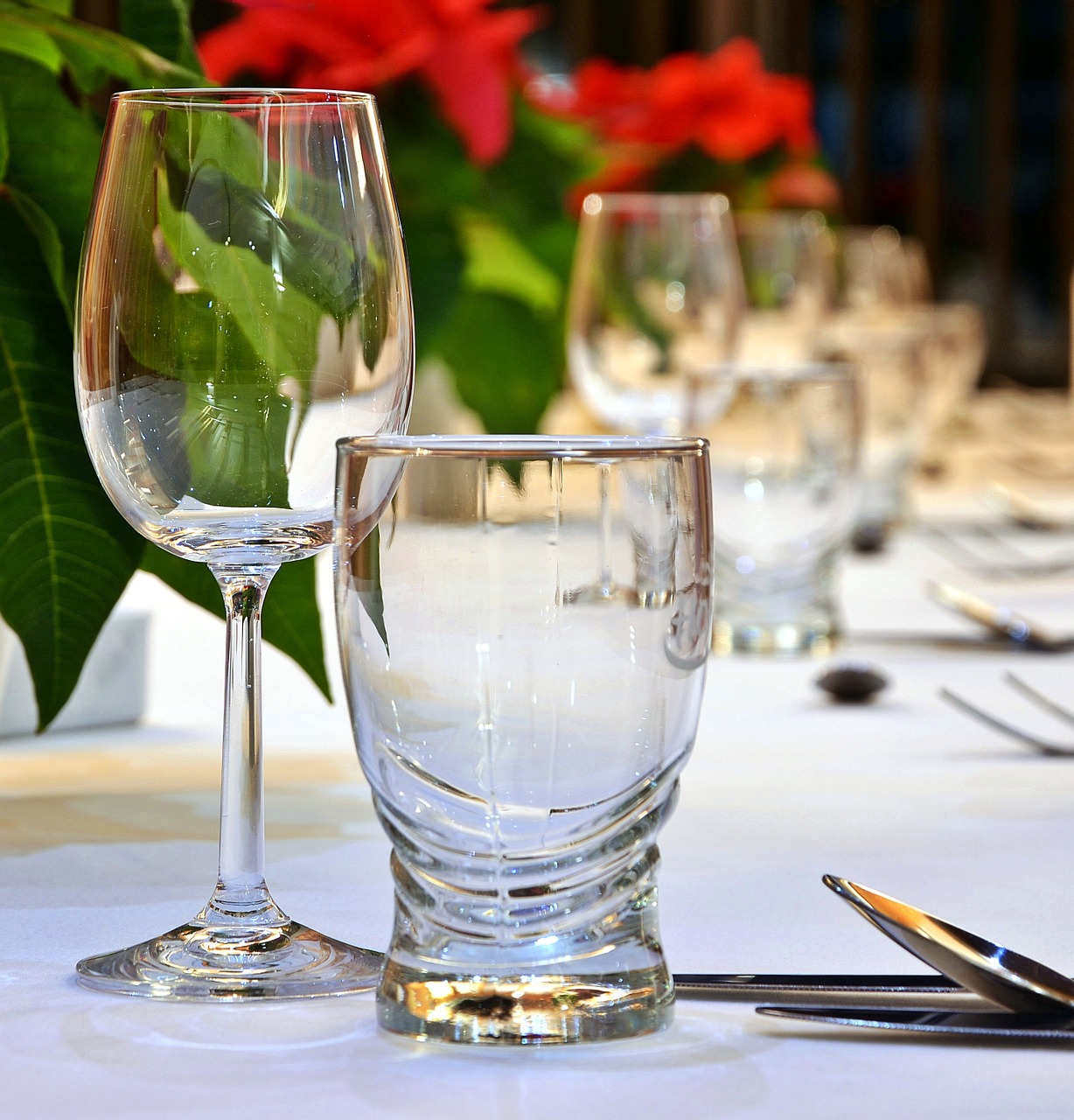 event wine glasses tableware free photo