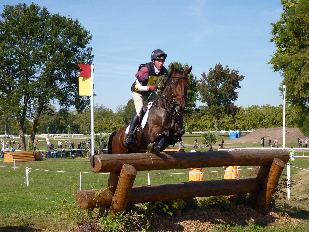 horse eventing cross free photo