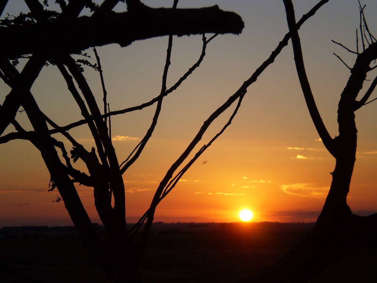 eventide sunset landscape free photo