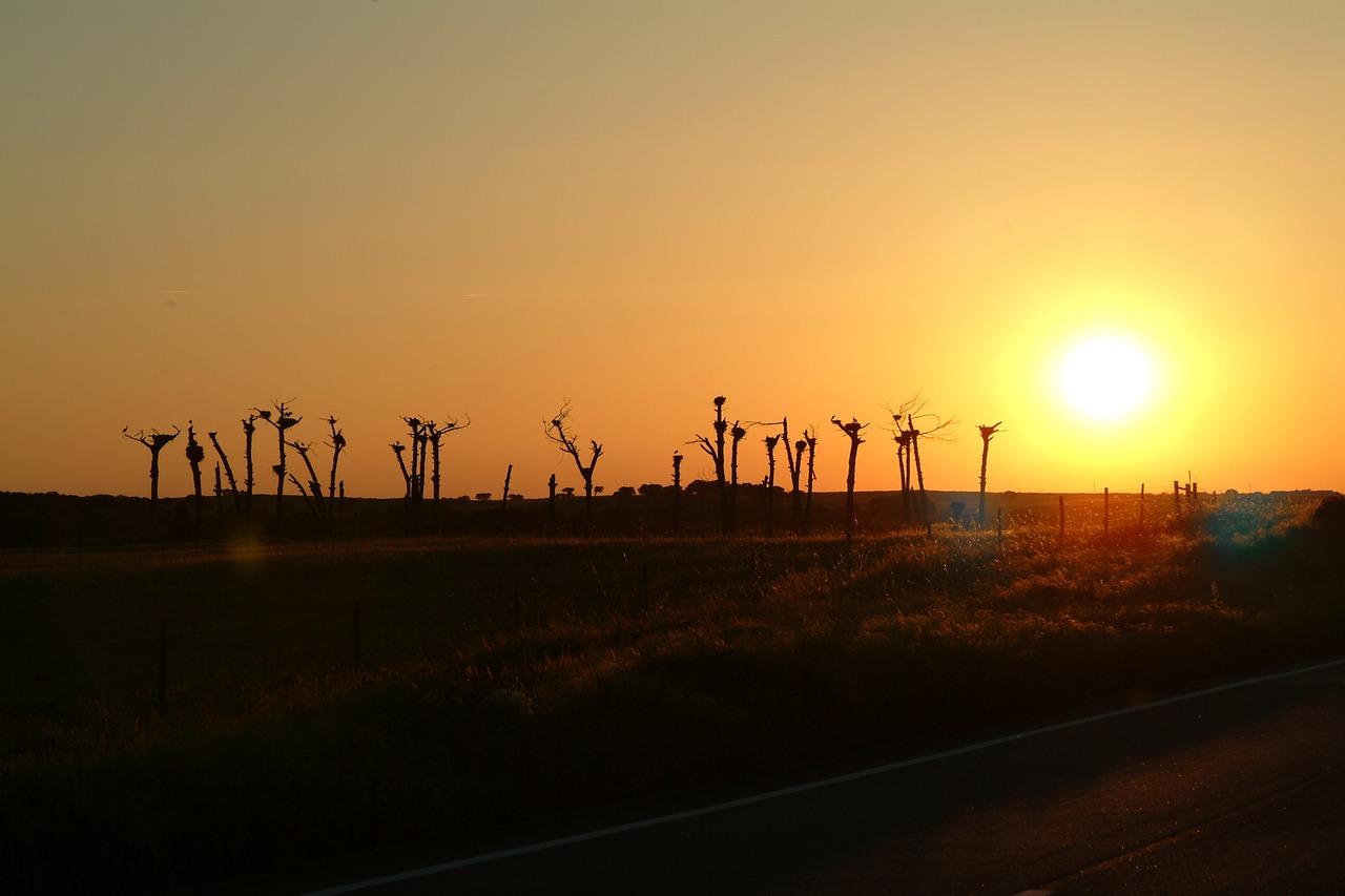 eventide sunset landscape free photo