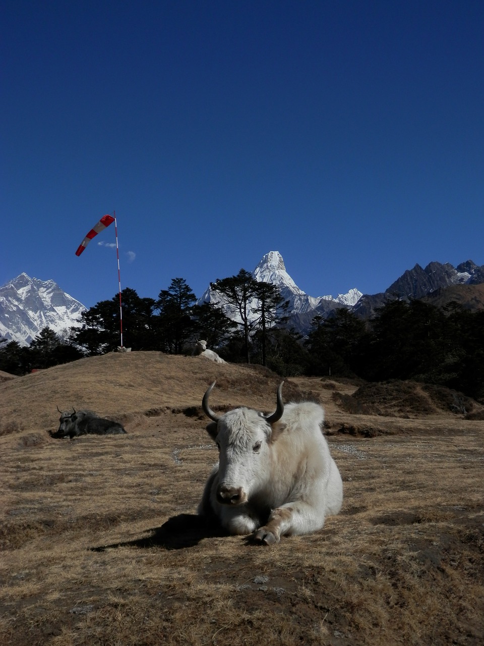 everest lhotse nepal free photo
