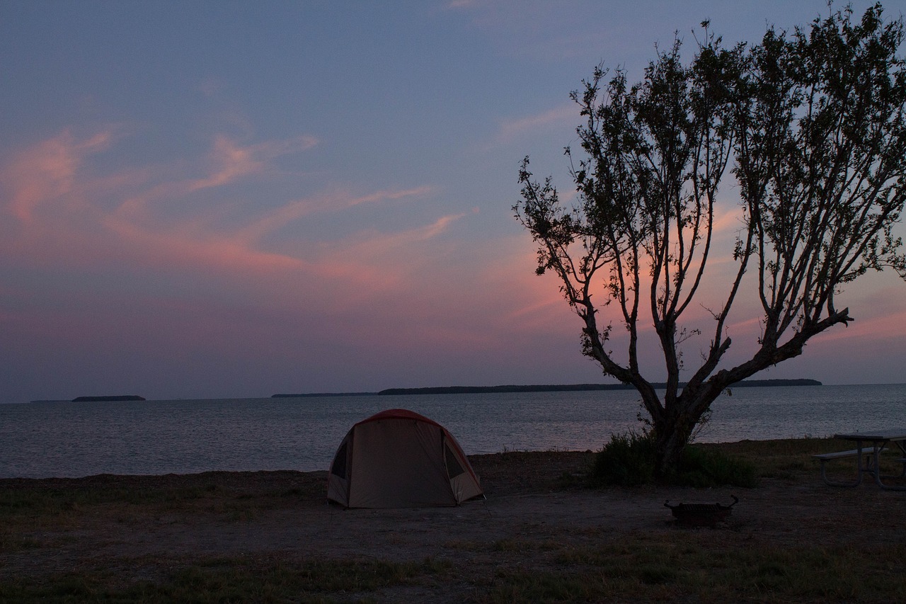 everglades  national park  camping free photo