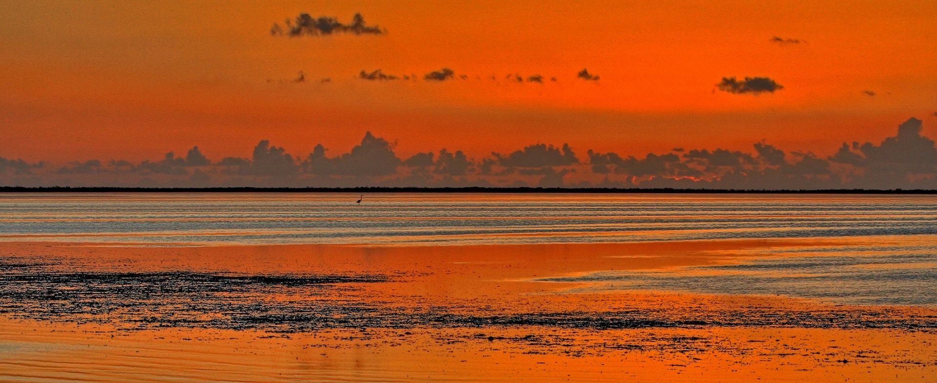 sunset swamp wetlands free photo