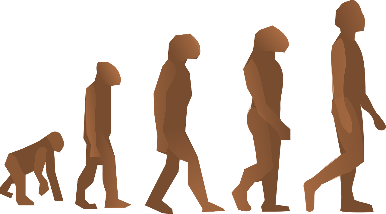 evolution human walking free photo