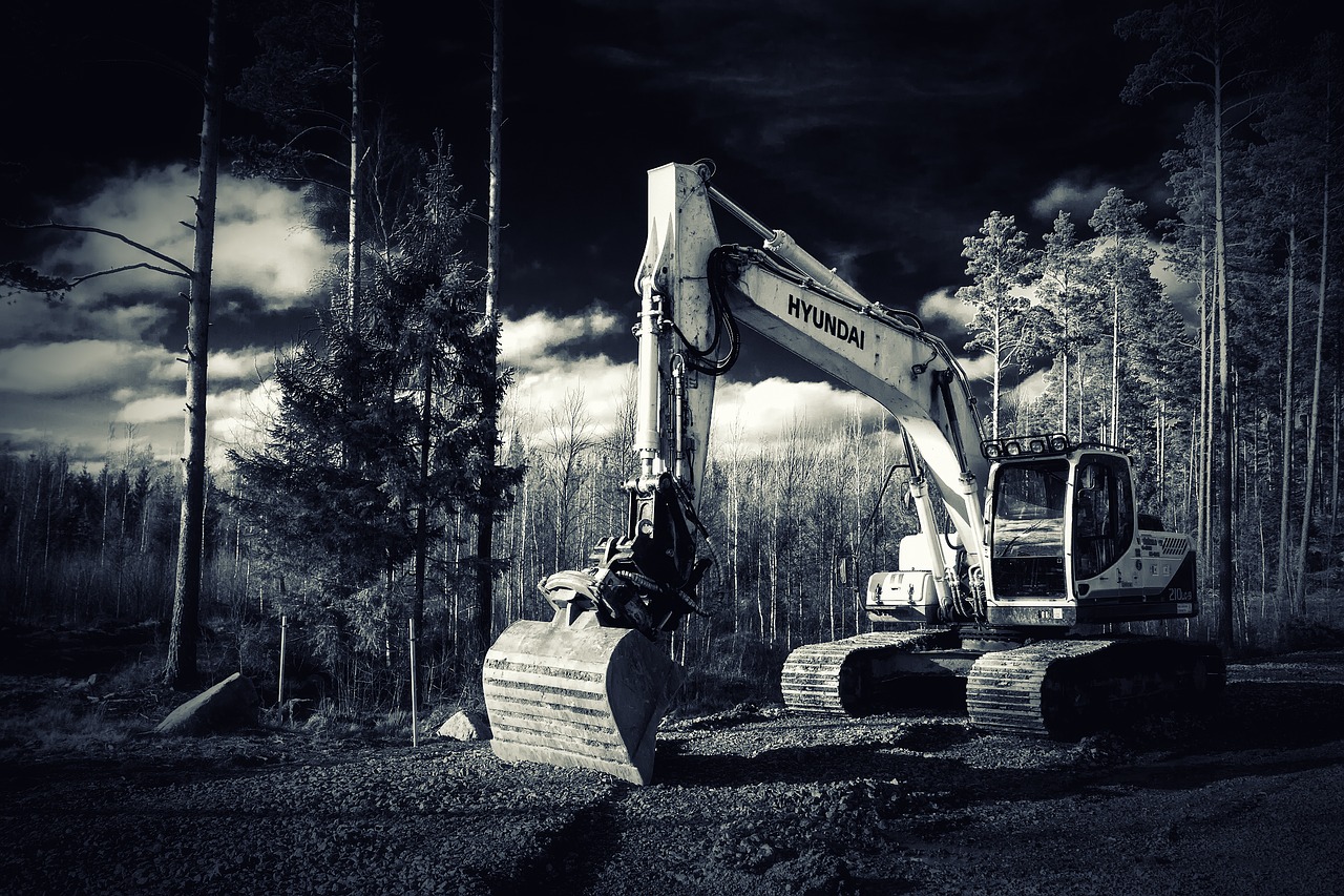 excavator forest construction machine free photo
