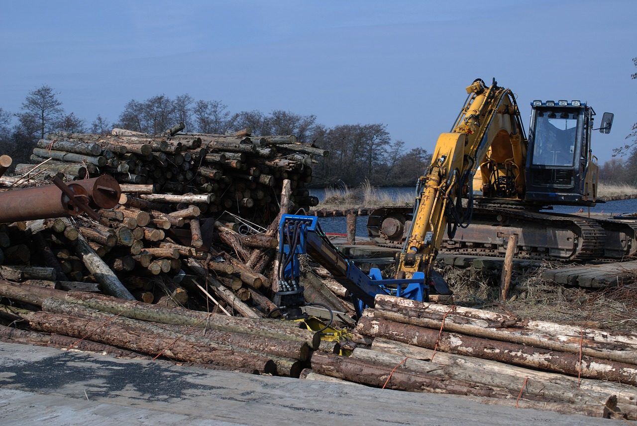 excavator  blue sky  trees free photo