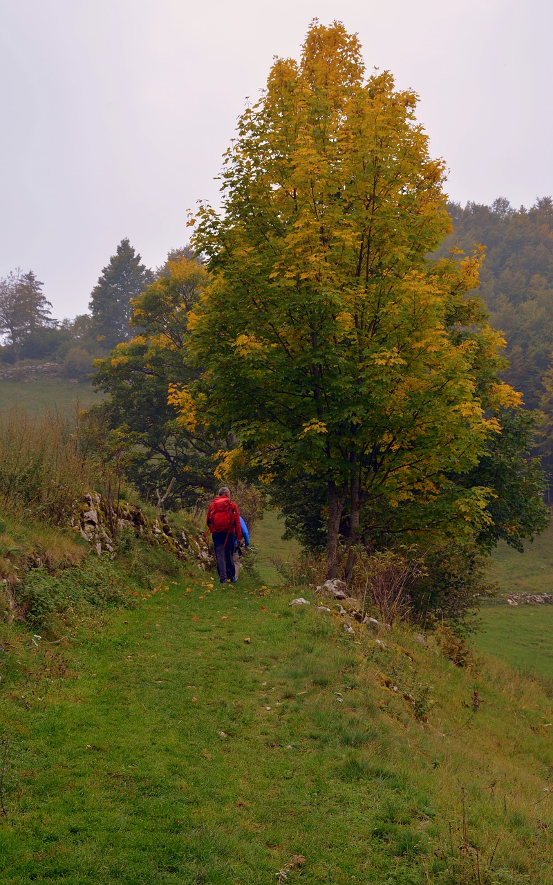 excursion autumn trail free photo