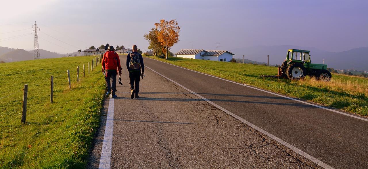 excursion walk road free photo