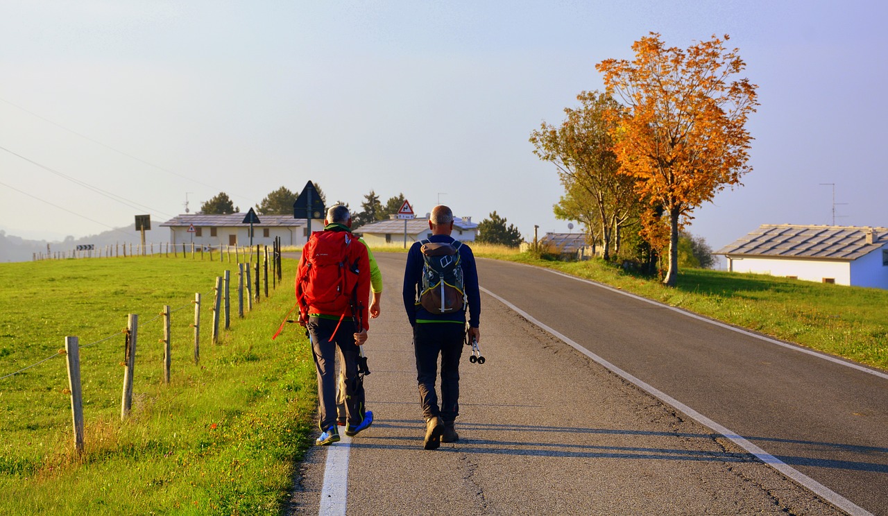 excursion walk road free photo