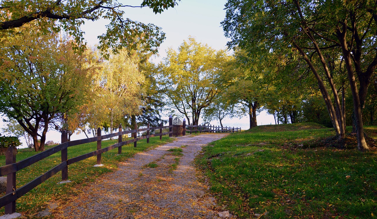 excursion trail autumn free photo