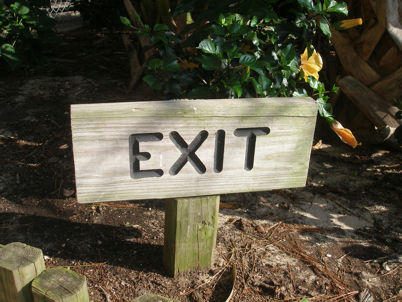 exit exit sign post free photo