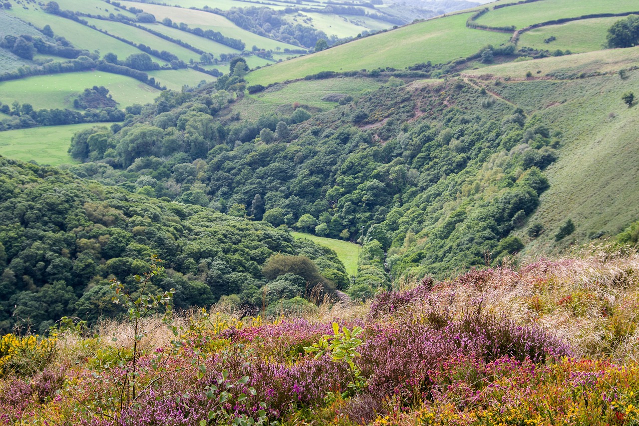 exmoor  landscape  england free photo