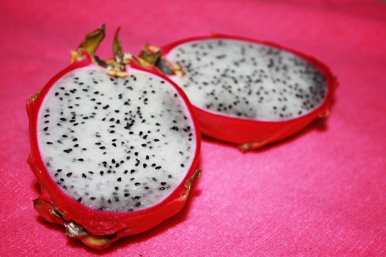 exotic fruit pitaya dragon free photo