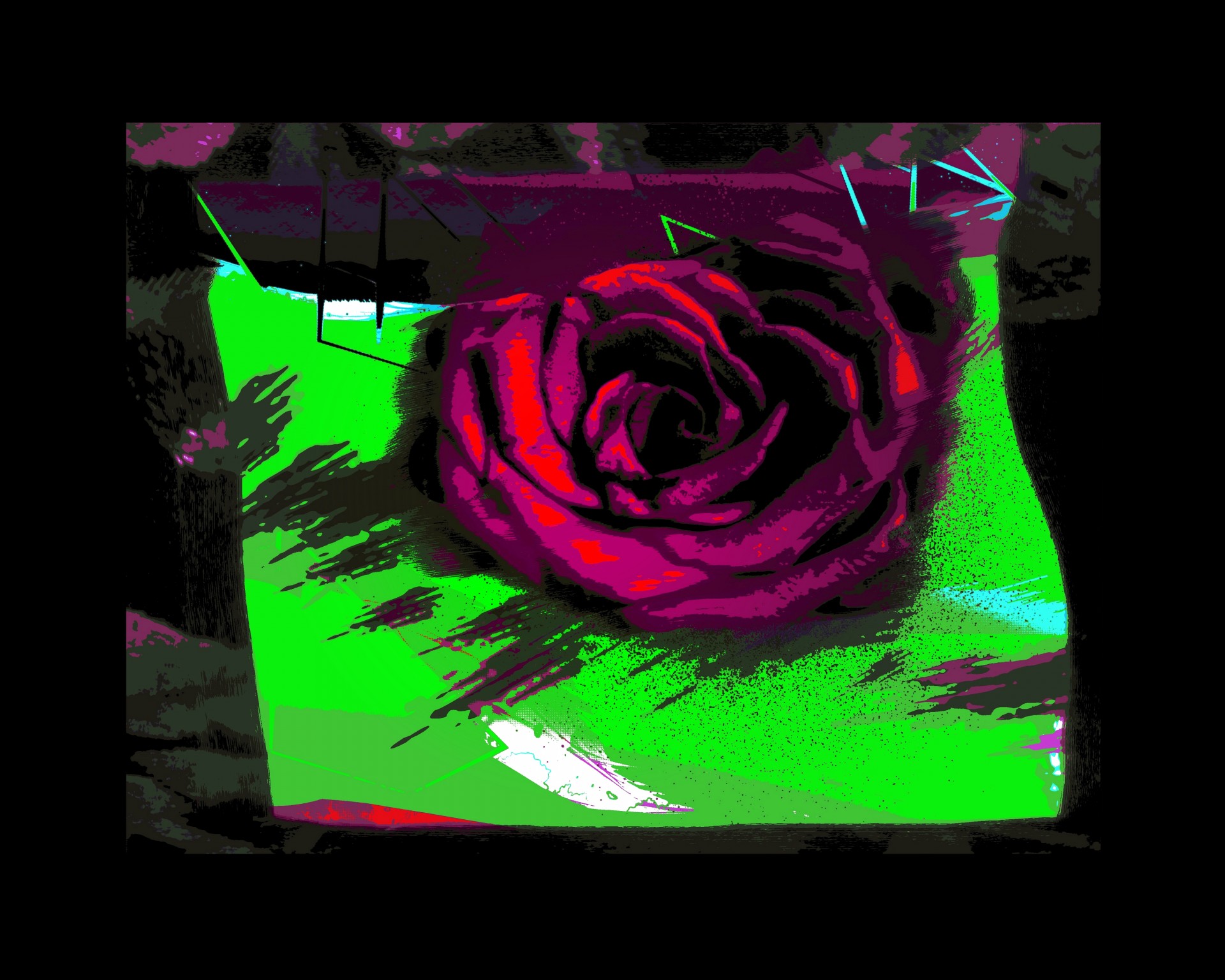 rose expressionism paintwork free photo