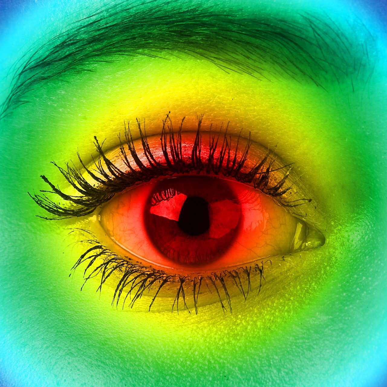 eye view colorful free photo