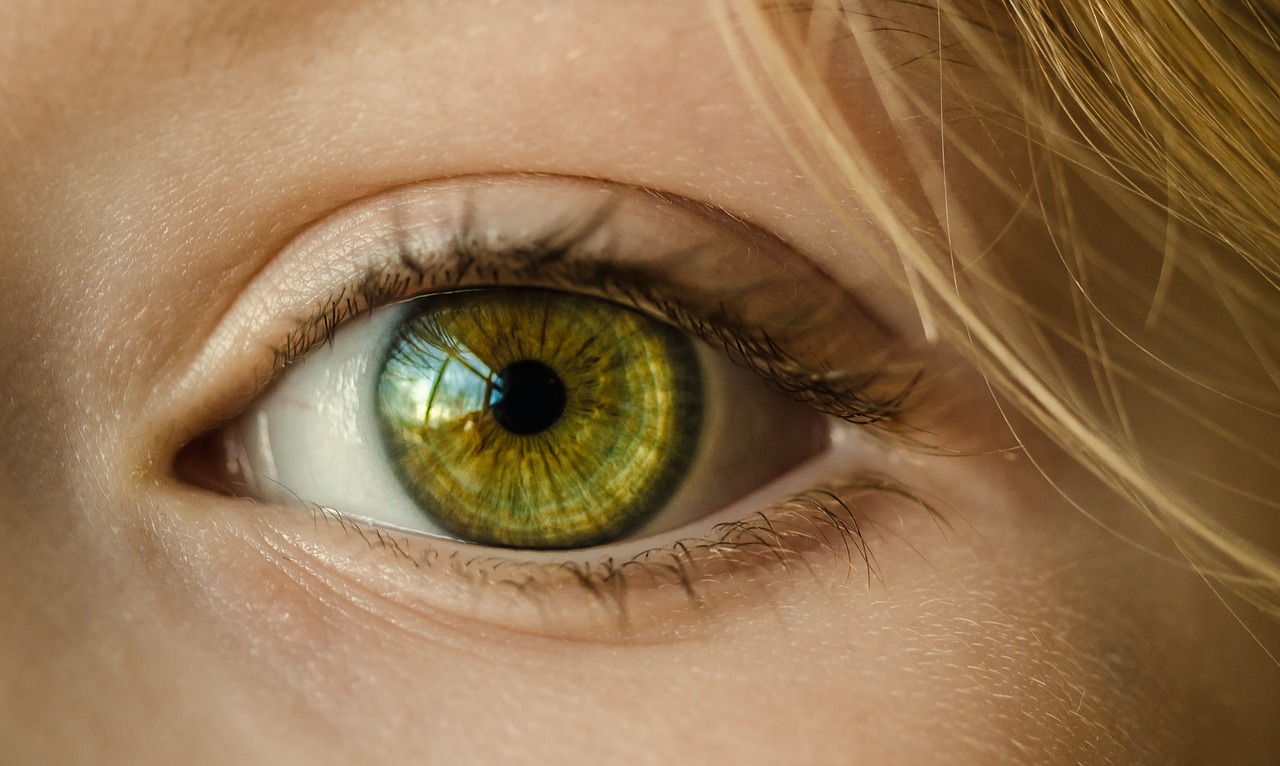 eye green eye close up free photo