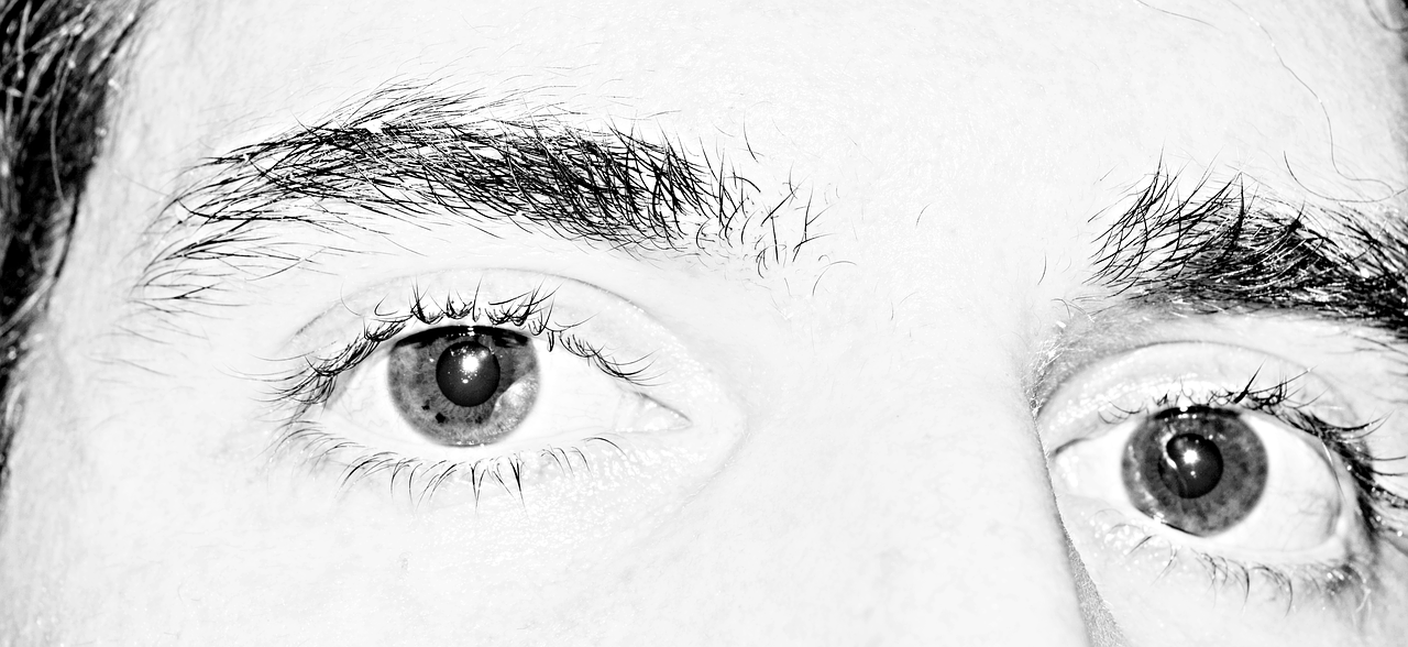 eye eyebrow monochrome free photo