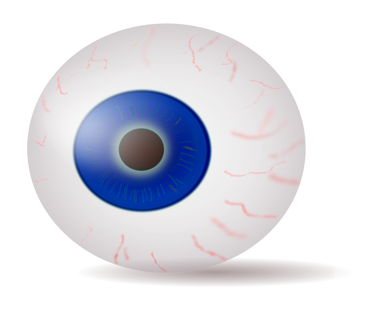 eye eyeball iris free photo