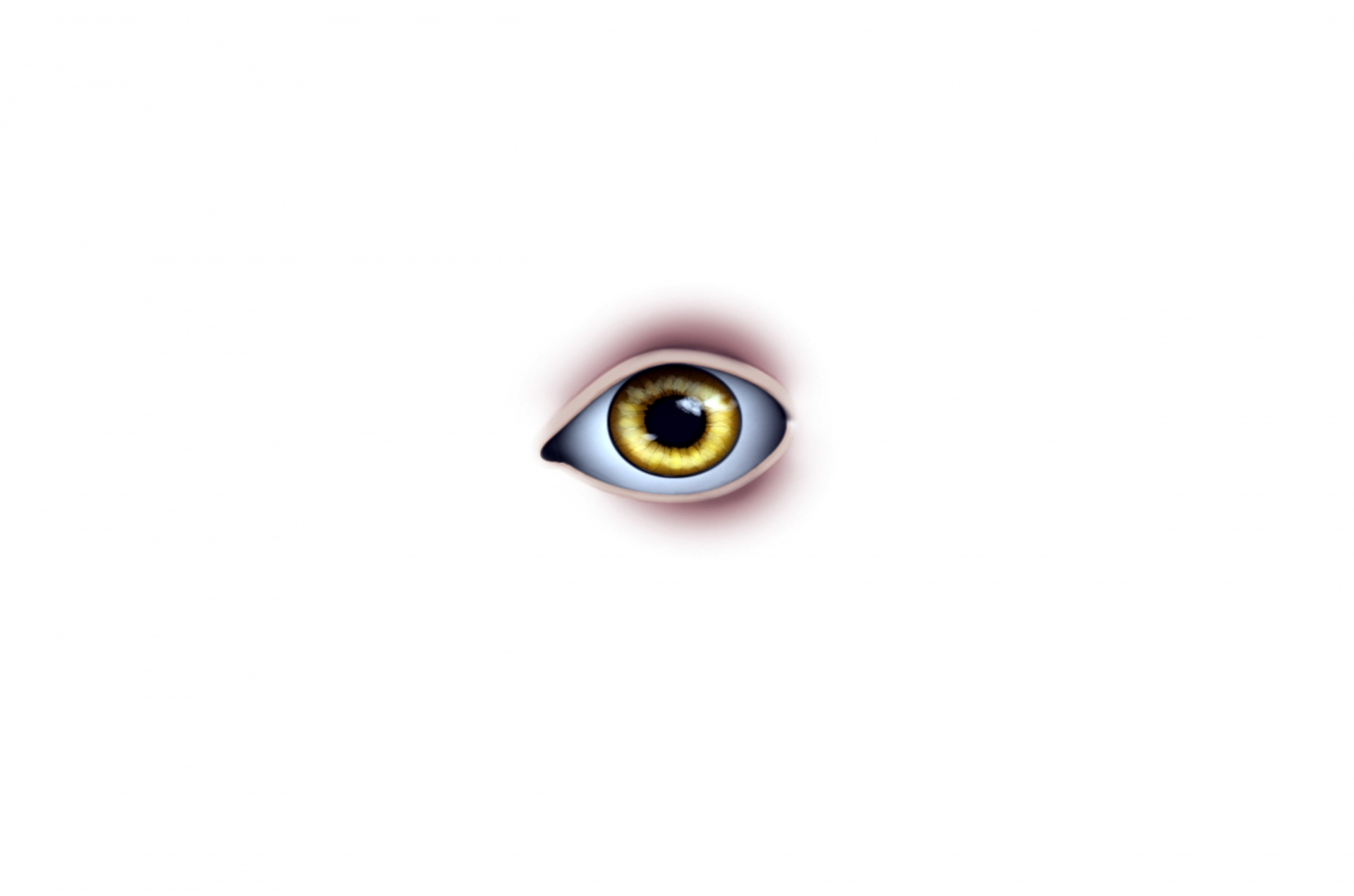 eye eyes illustration free photo