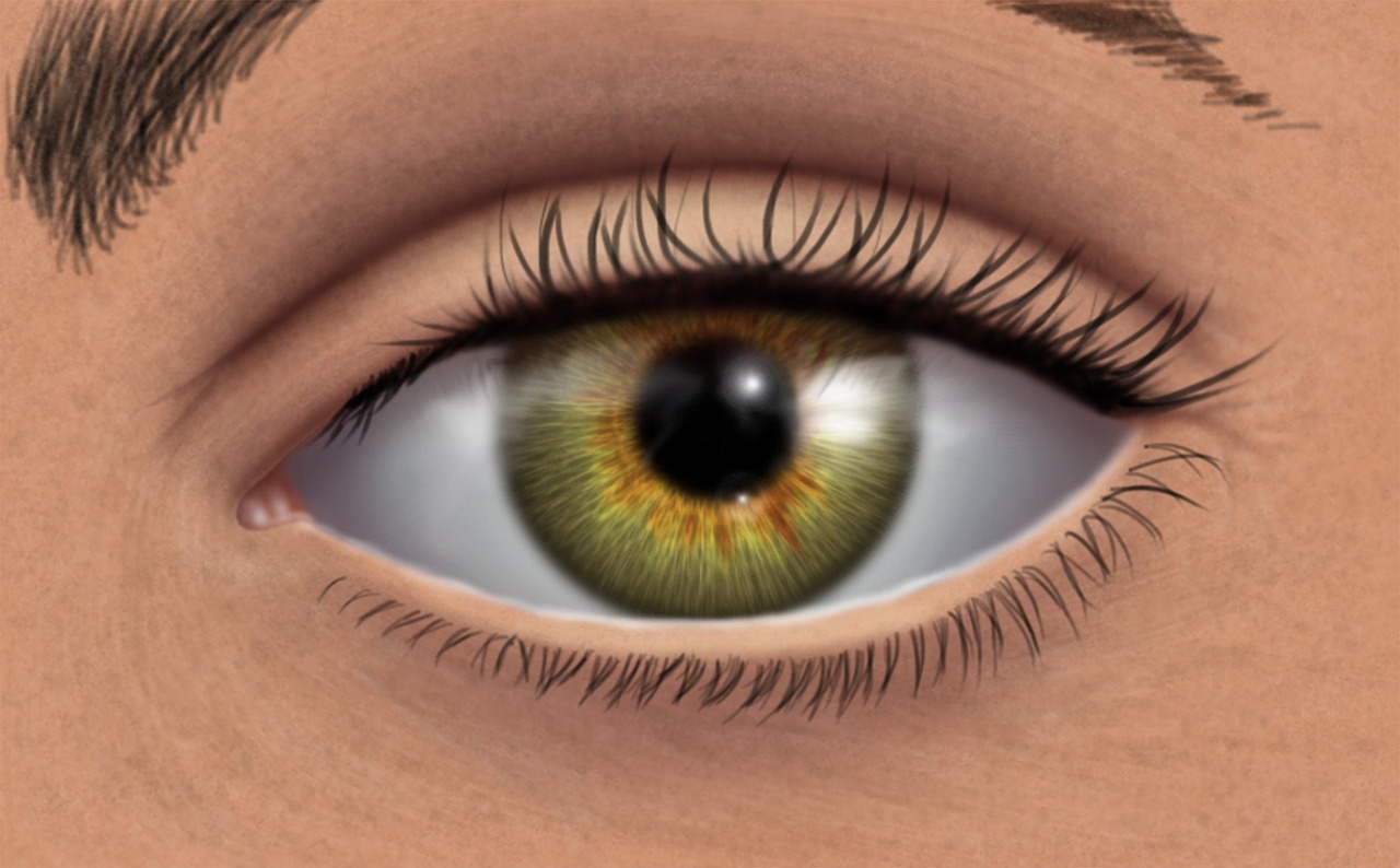 green eye digital painting look free photo