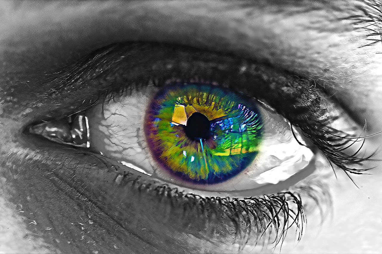 eye iris pupil free photo