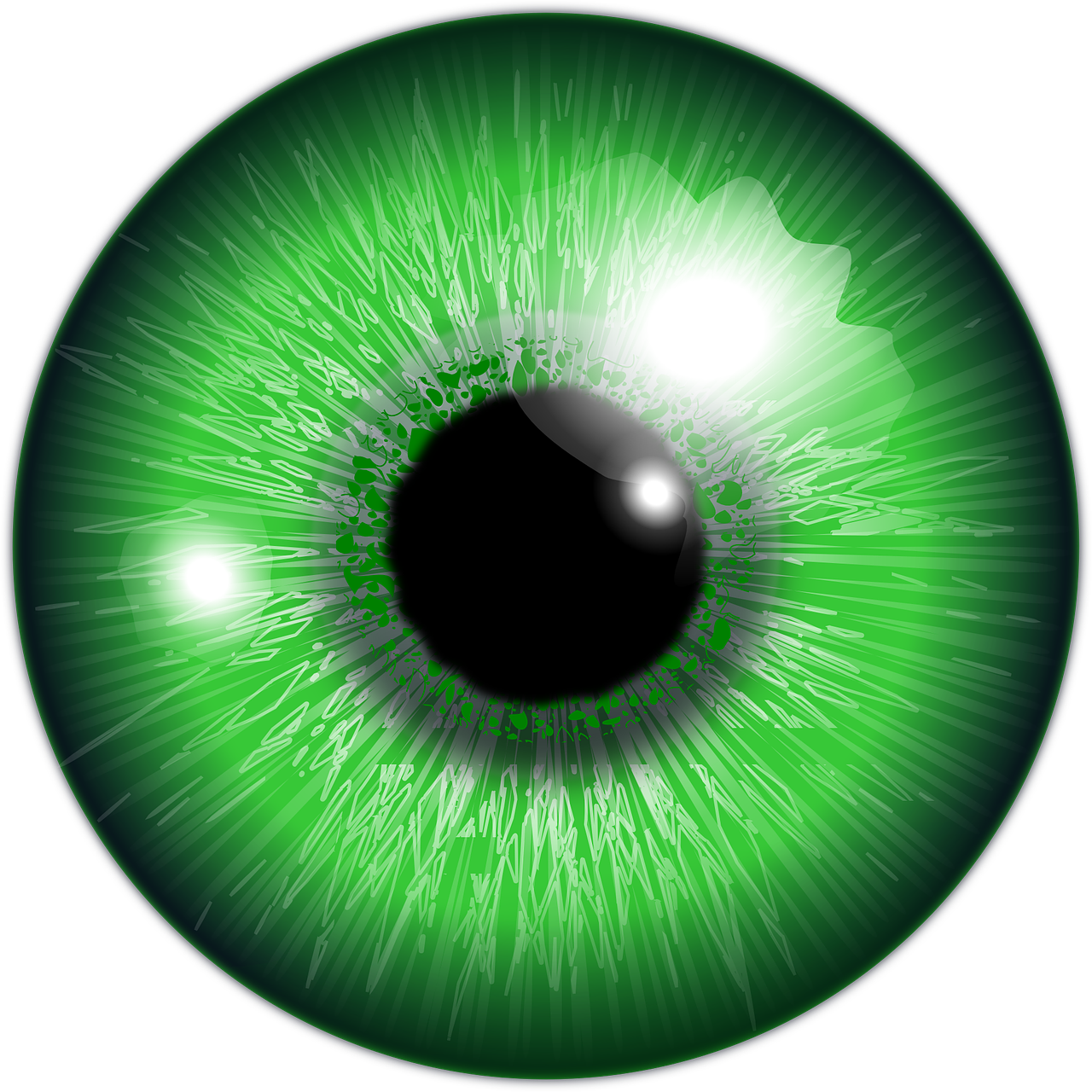 Download free photo of Eye,green,iris,eyeball,looking - from needpix.com